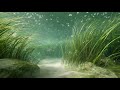 Relaxing Underwater Soundscape | Downtempo House Set for Serene Exploration