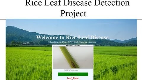 Rice Leaf Disease Prediction Using Machine Learning | Final Year Project | Python Project