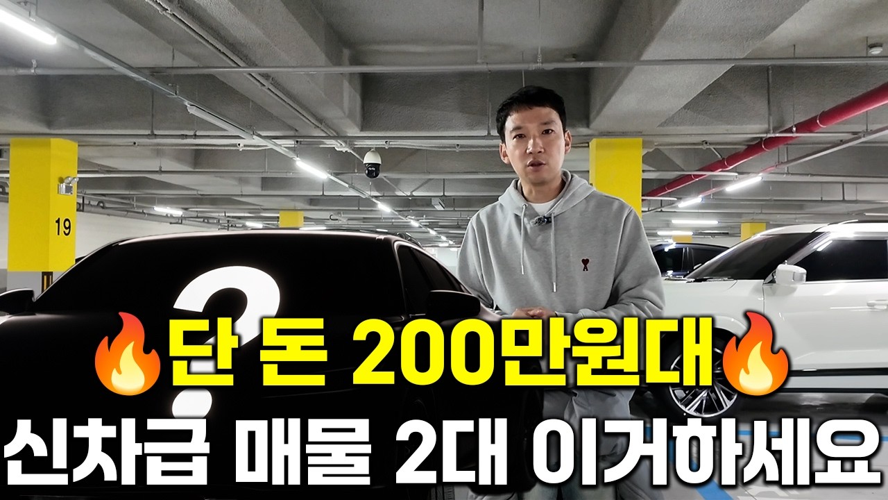 김사장이 뺏어 타려는 거 겨우 지켰습니다! 매도비 X 성능비 X! 완벽한 신차급 매물! 200만원대 최저가 위탁차량 2대 제발 이거하세요!!