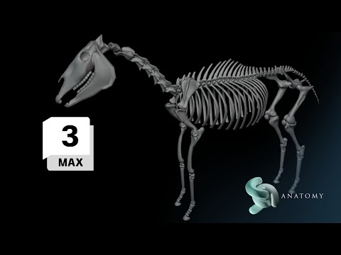 How To Model