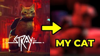 Turning My Cat Into the Cat From Stray - YouTube