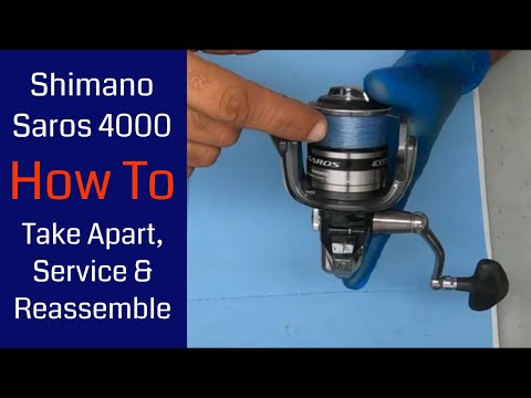 servicing the shimano 4 bearing spin reel TR Protect and X Shimano Spinning Reel Maintenance Tutorial
