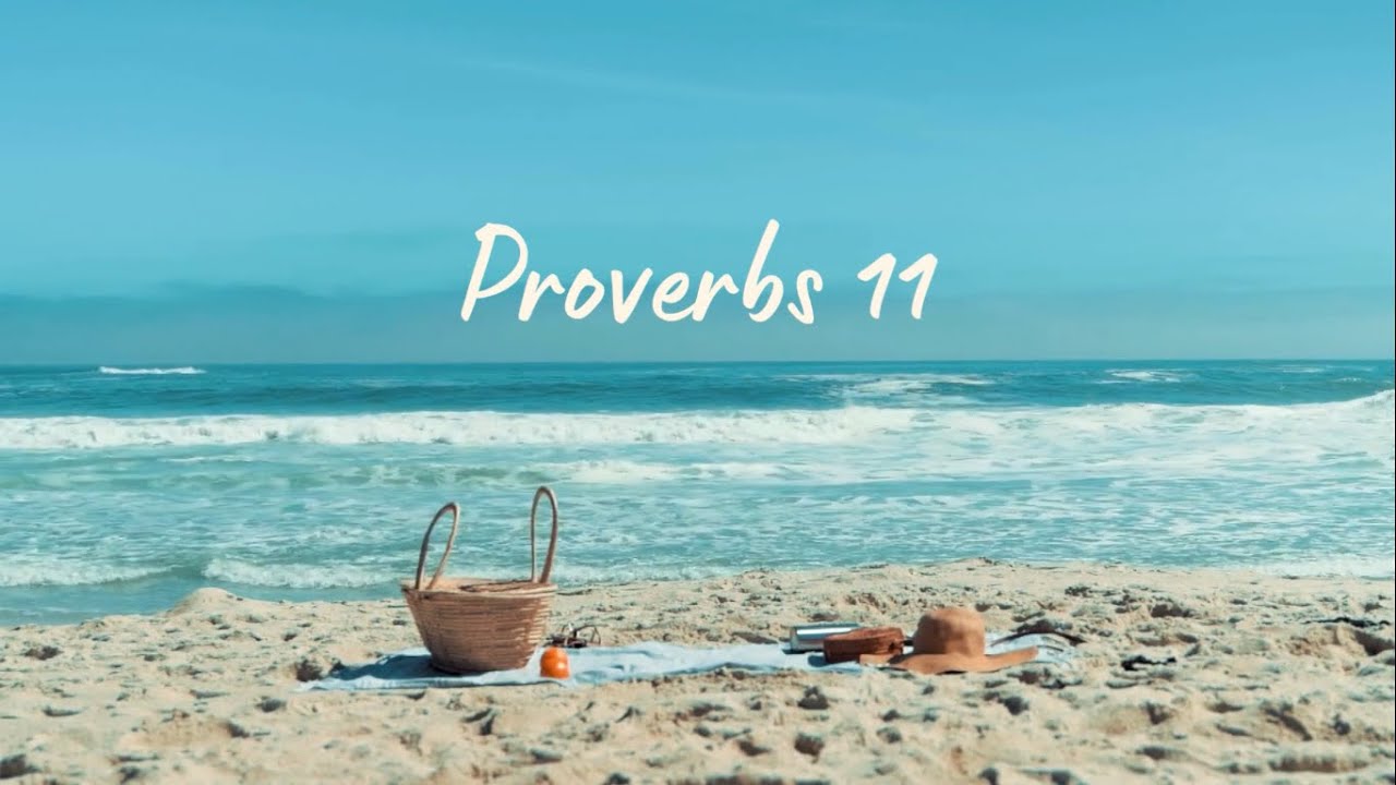 Proverbs 11 daily bible study 365 days youtube