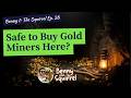 Is it SAFE to add Gold Miners Here