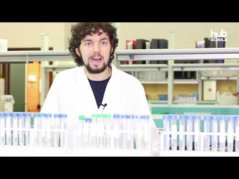 Video: Come viene utilizzato il DNA nella scienza forense?