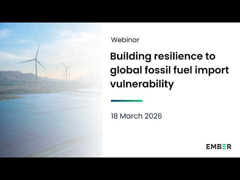 Building resilience to fossil fuel import vulnerabilities