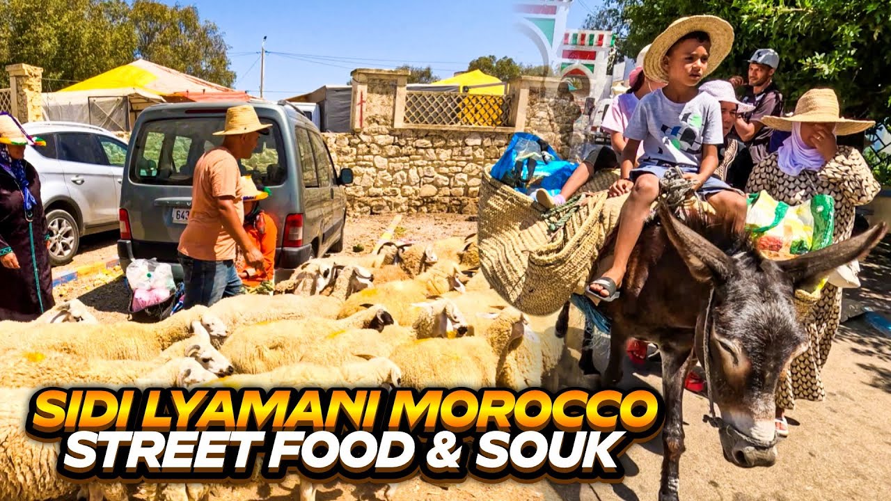 Moroccan Street Food Market in Sidi El Yamani سيدي اليماني | Street Food Explorer