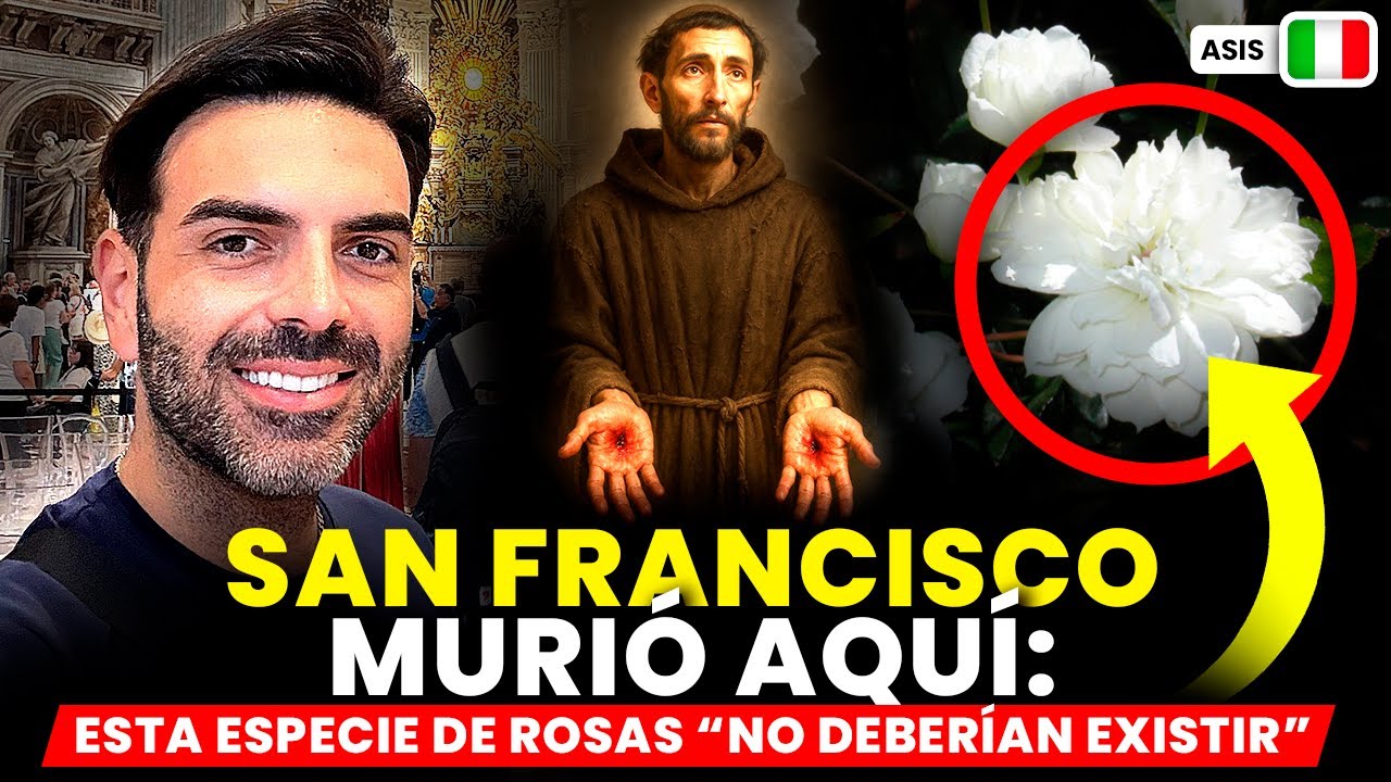 PORCIÚNCULA: ¿Porqué la Tierra AQUÍ es la Más Fértil? | Muerte de San Francisco / Origen de la Orden