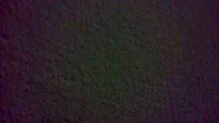 VID-20151001-00019