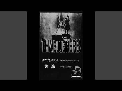 知恵の輪 (THIRD HALLUCINATION CHAOS)