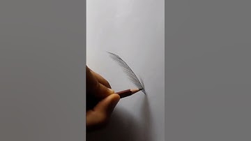 feather drawing #soniartz