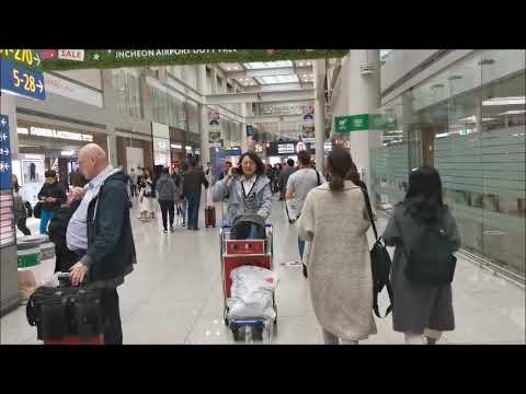 فيديو: ما هو كود مطار سيول كوريا؟