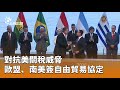 對抗美國關稅的貿易策略