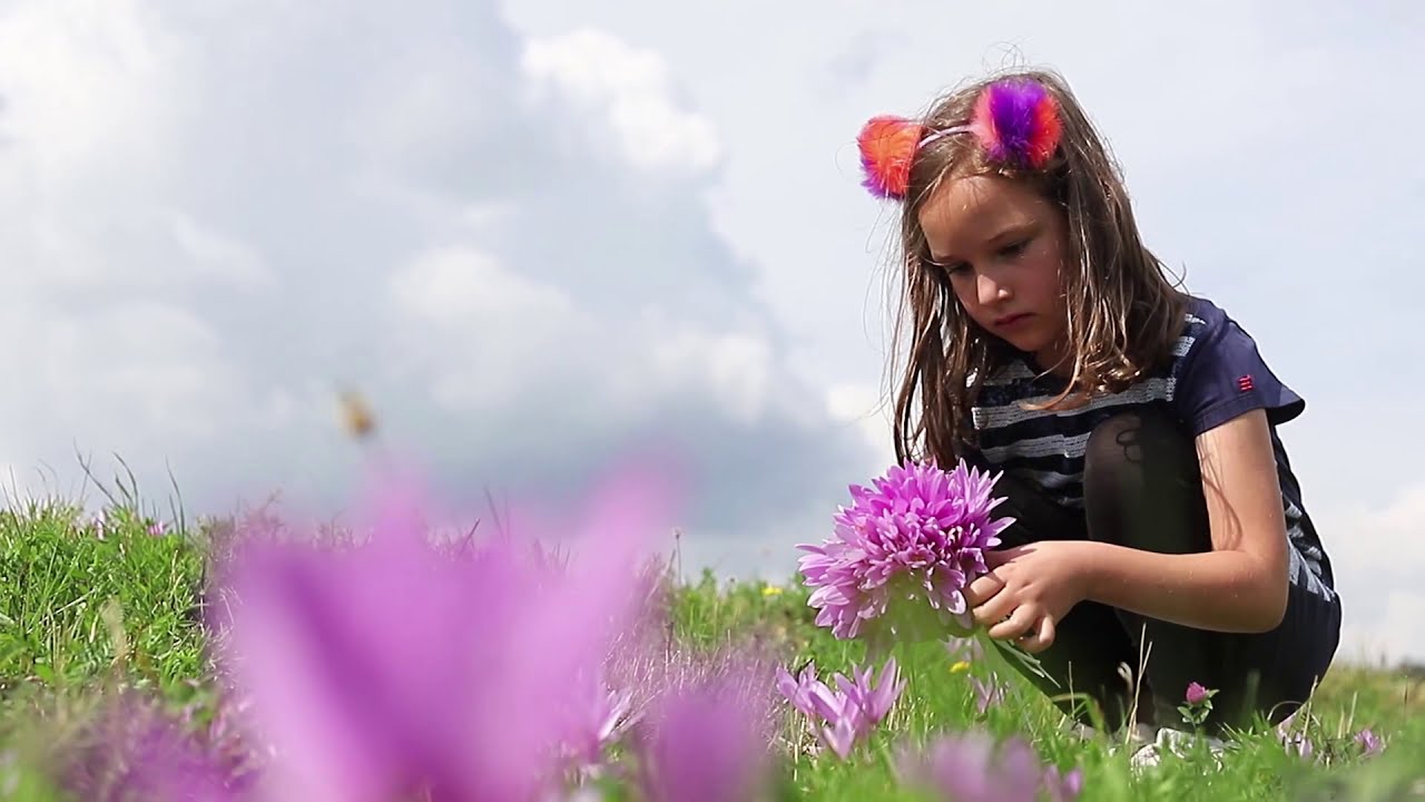 GOLIJA je jedna od najlepših i šumama najbogatijih planina u Srbiji.