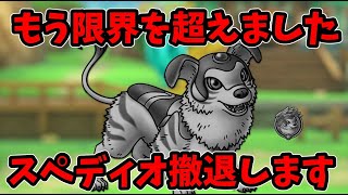 【ドラクエタクト】スペディオが心を開いてくれません