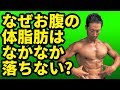 なぜお腹の体脂肪はなかなか落ちないのか？なぜお腹に体脂肪がつくのか？