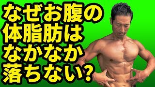 なぜお腹の体脂肪はなかなか落ちないのか？なぜお腹に体脂肪がつくのか？