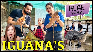 A Day with these 😱 Amazing *EXOTIC* Animals @PULKITvAmp | Harpreet SDC