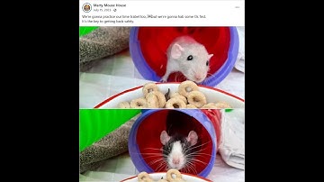 Let’s play Chrono Trigger low level 04 — A new era