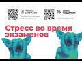 Стресс во время экзаменов: вебинар для школьных специалистов и родителей