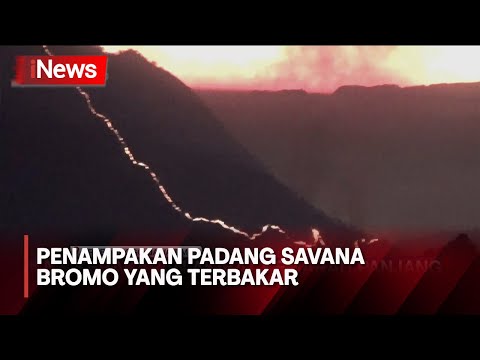 Padang Savana Bromo Terbakar, Api Menjalar &amp; Kepulan Asap Terlihat dari Kejauhan