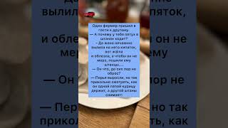 Петушок🤣#мемы #ржака #юмор #приколы #приколы #tiktok #shorts #рек #рекомендации #ржака#мем#шортс