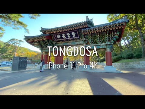 టోంగ్డోసా (కొరియన్ బౌద్ధ దేవాలయం) | సినిమాటిక్ 4K 21:9 - iPhone 11 Pro