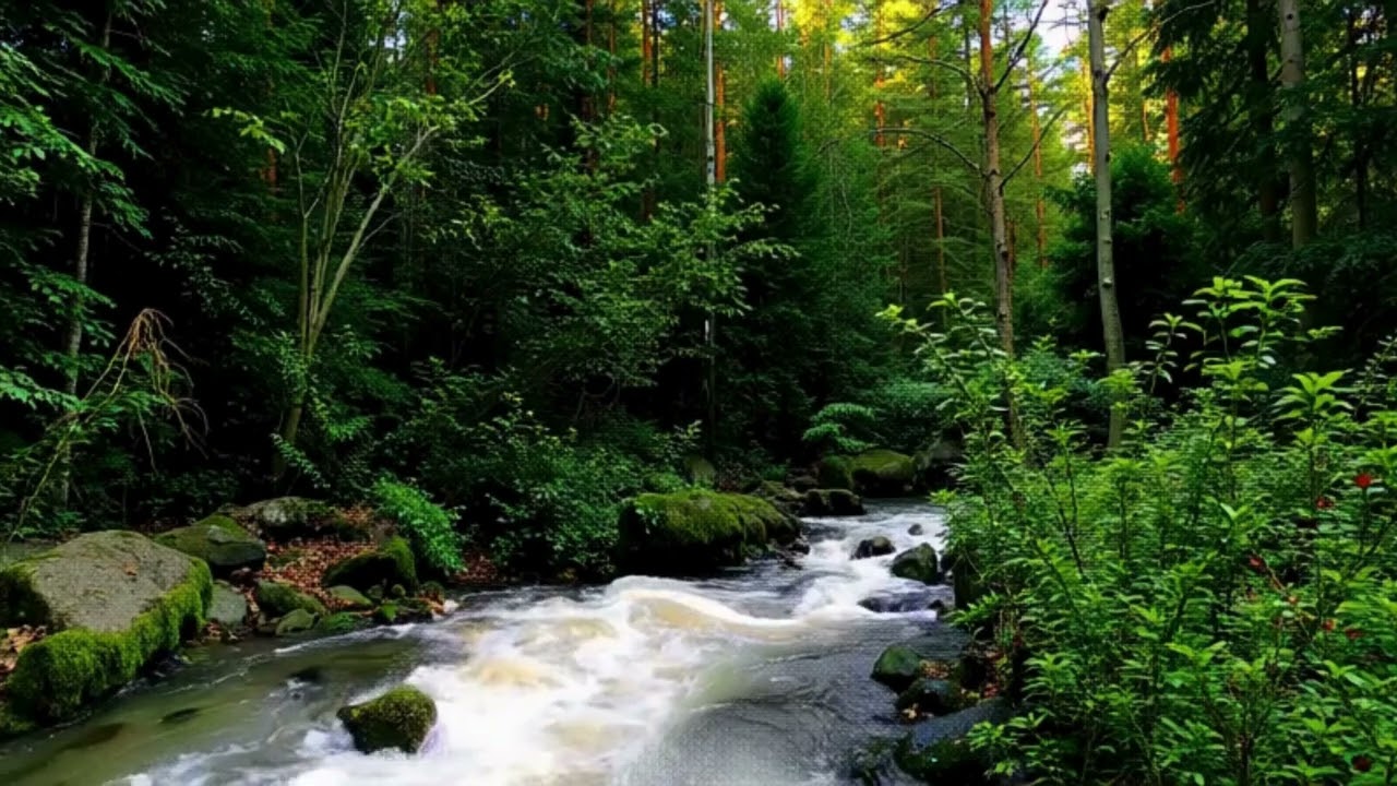 THE RIVER FLOWS SOFT PIANO COLLABORATION