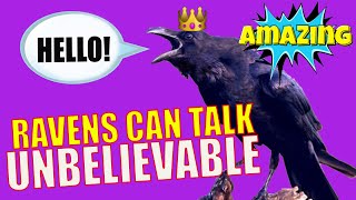 RAVENS CAN TALK AND SING! *they are very playful creatures*