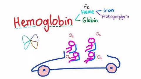 Hemoglobin Structure; What
