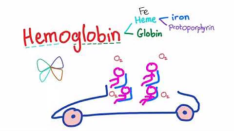 Hemoglobin Structure; What's In Your Red Blood Cell?