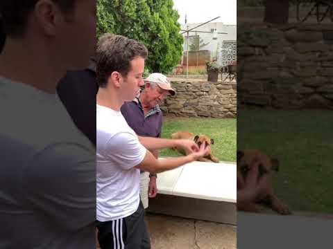 Guy Takes Off