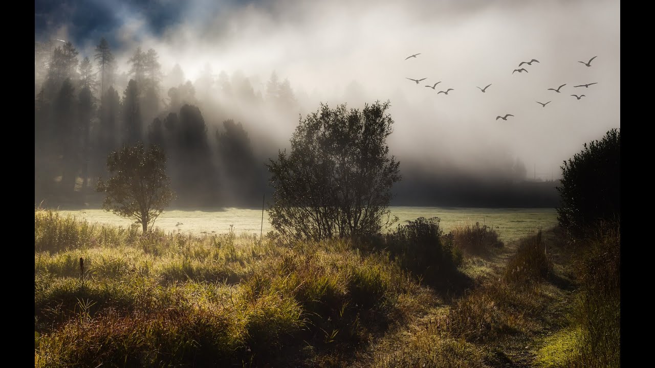 Morning (Peer Gynt Suite) Edvard Grieg YouTube Morning (Peer Gynt Suite) Edvard Grieg YouTube