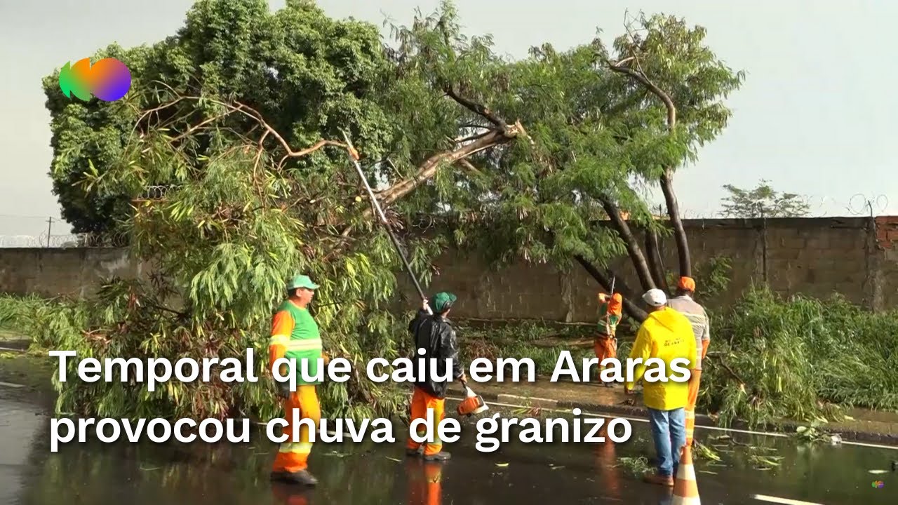 Vídeo - Restaurante fica totalmente destruído após chuva de granizo em  Araras, SP - Pedras 'cobriram' asfalto e assustaram moradores. Na zona  rural, galpão cedeu.