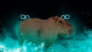 Miniatura de vídeo de "Capybara - Okay I pull up, hop out at the after party"