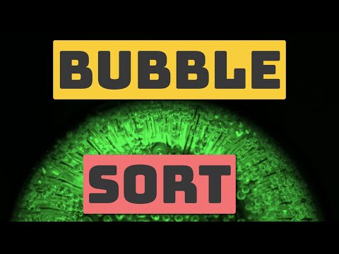 Bubble Sort Algorithm
