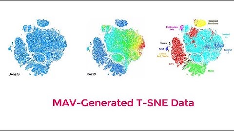 A Deep Dive on the Multiplex Analysis Viewer (MAV) to Analyze CODEX® Images