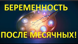 🔴Беременность🤰 после МЕСЯЧНЫХ. Когда ⏰возможно забеременеть сразу после месячных (СТАТИСТИКА!)