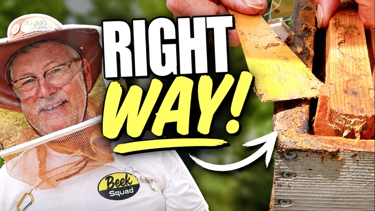 Beekeeping: Are You Using Your Hive Tool Correctly?