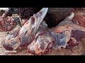 Most Incredible Village Meat Market⇔Meat Processing & Cutting Skills By A Professional Butcher. P-84