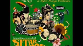 Bebo Best & Super Lounge Orchestra - Bollywood Ghost Dance chords