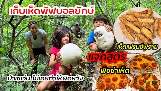 V349 เก็บเห็ดพัฟบอลยักษ์ป่าเซเว่น อเมริกา ทำพิซซ่า เห็ดทอดอร่อยๆ Giant puffball forage & cook