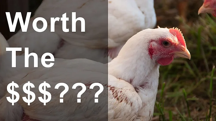 Is pastured poultry farming profitable? - Actual N...
