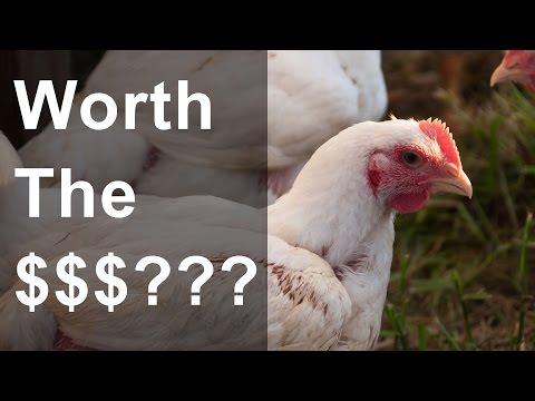 Is pastured poultry