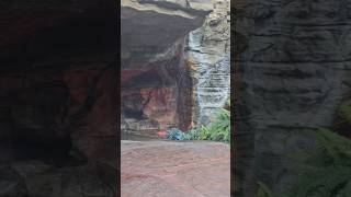 Gem Relaxing Waterfall at Resort ⛲️💫🫧 #trending #shorts #viral