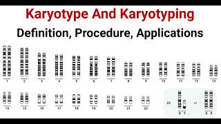 Karyotype VS Karyogram