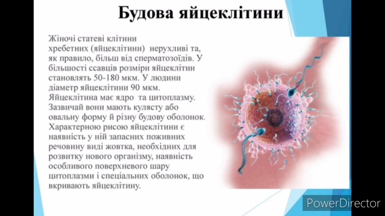 Порно кенеттен кірді Дженна Джеймесонмен барлық порно