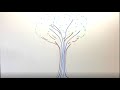 view SERC Interns Explain: How Trees Are Better Than You digital asset number 1
