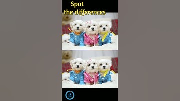 Spot the differences? #mind your logic #riddles game Riddles No.199