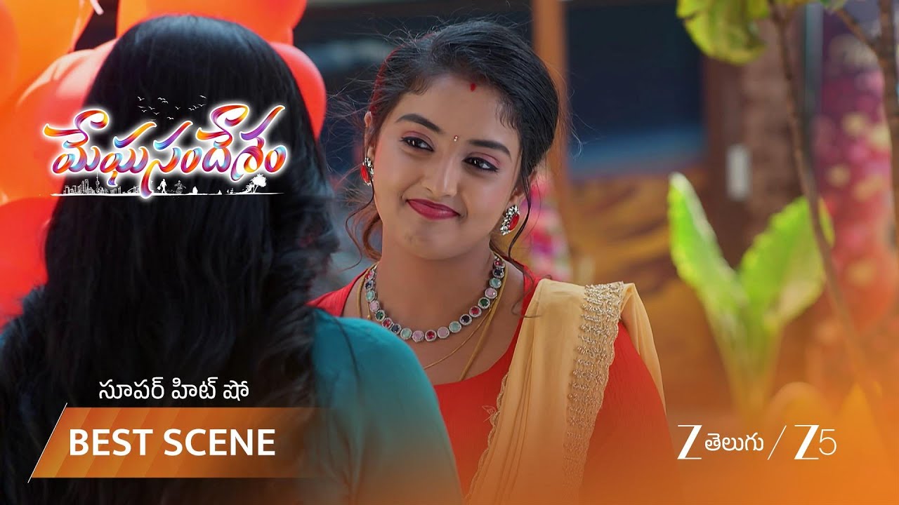 MEGHASANDESAM | భూమి, పూరిల స్నేహ బంధం!